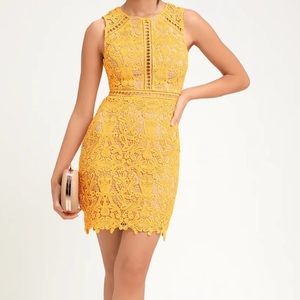 💛🌟🌻🌙🌼 Lulu's Yellow Dream Life Lace Mini Bodycon Dress
